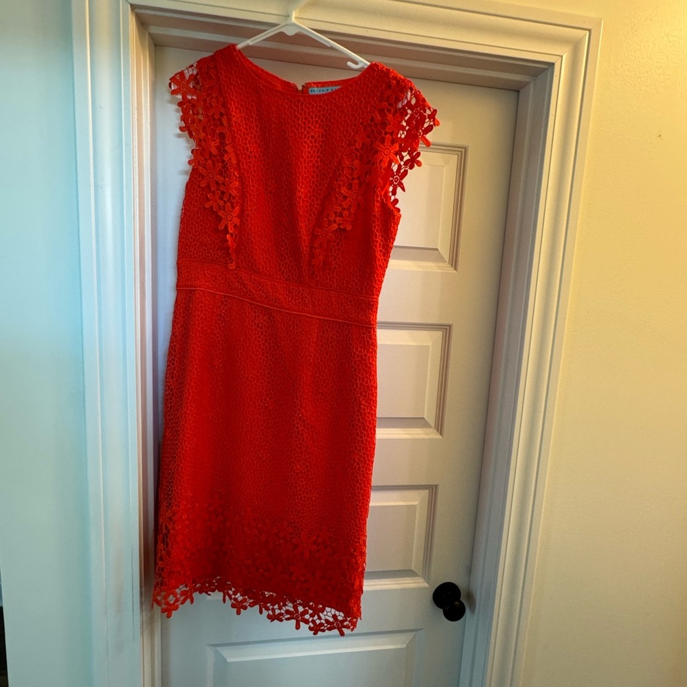 Antonio Melanie Lace Detail Dress